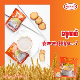 Mikko_Nutritious Cereal