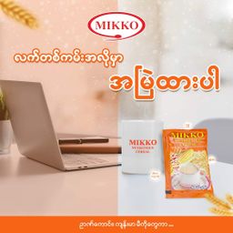 Mikko_Nutritious Cereal