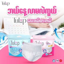 Tulip_Woman Diaper 