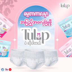 Tulip_Woman Diaper 