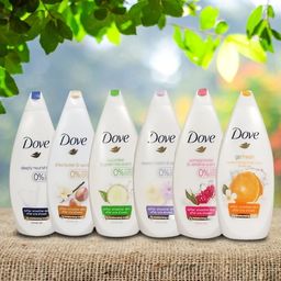 Dove Shower Gel (small)