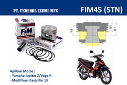 FIM45-100
