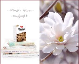 Fame_Honokiol (တောင်စကားဖြူဆေး) 