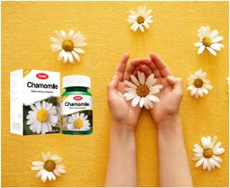 Fame_Chamomile (ခမ်မိုမိုင်းဆေး)