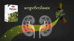 Fame_Nephrotec (ကျောက်ကပ်ဆေး) 