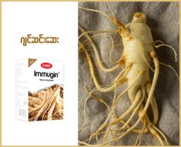 Fame_Immugin (ဂျင်ဆင်းဆေး)