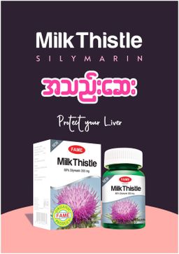 Fame_MilkThistle (အသည်းဆေး) 