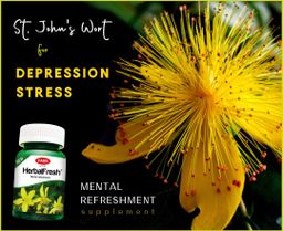 Fame_HerbalFresh (စိတ်မြှင့်ဆေး)