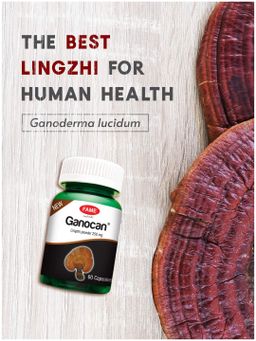 Fame_Ganocan (လင်ဇီးဆေး)