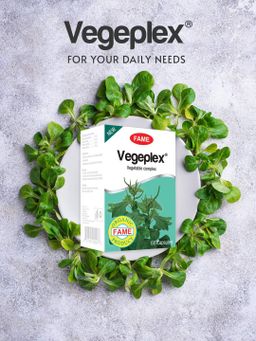 Fame_Vegeplex (ရွက်စုံအားဖြည့်ဆေး) 