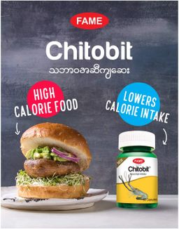 Fame_Chitobit (သဘာဝအဆီကျဆေး)