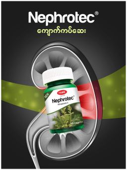 Fame_Nephrotec (ကျောက်ကပ်ဆေး) 
