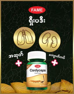 Fame_Cordyceps (ရှီးပဒီးဆေး)