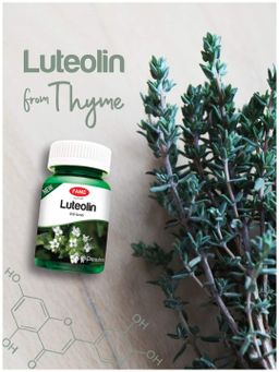 Fame_Luteolin (စမုန်ဖြူဆေး)