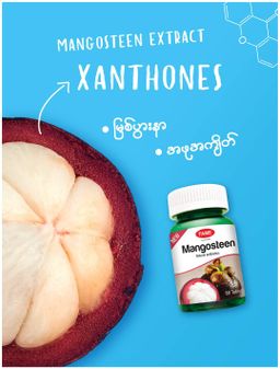 Fame_Mangosteen (မင်းဂွတ်သီးဆေး) 