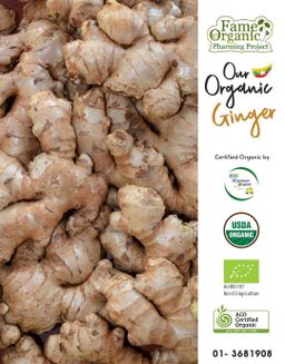 Fame_Certified Organic Ginger