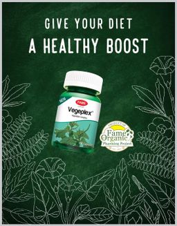 Fame_Vegeplex (ရွက်စုံအားဖြည့်ဆေး) 