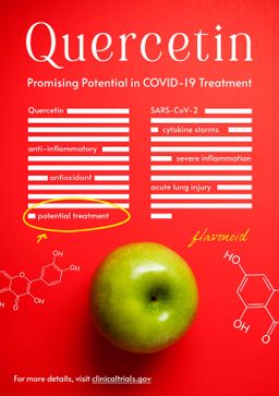 Fame_Quercetin (ကွာစီတင်)