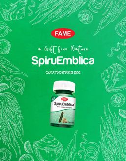 Fame_Spirulina (စိမ်းပြာရေညှိ) Collection 