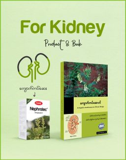 Fame_Nephrotec (ကျောက်ကပ်ဆေး) 