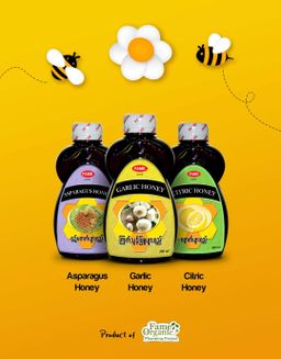 Fame_Honey Collection