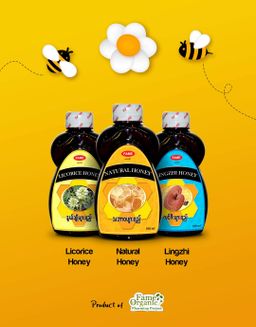 Fame_Honey Collection