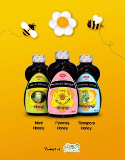 Fame_Honey Collection