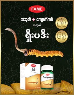 Fame_Cordyceps (ရှီးပဒီးဆေး)