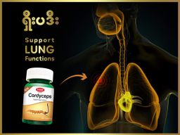 Fame_Cordyceps (ရှီးပဒီးဆေး)