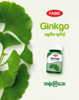 Fame_Neurogin (အာရုံကြောဆေး) 