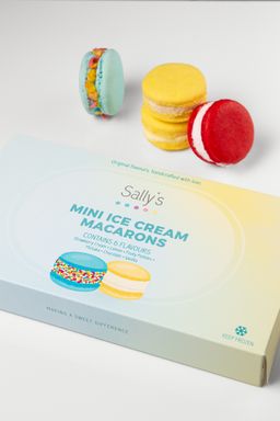 Mini Ice Cream Macaron Box (6 Flavors)