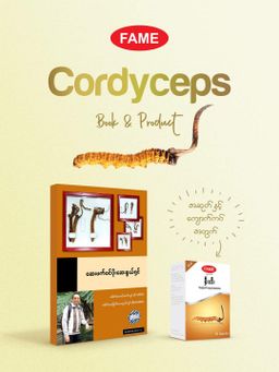 Fame_Cordyceps (ရှီးပဒီးဆေး)