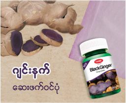 Fame_Black Ginger (ဂျင်းနက်ဆေး)