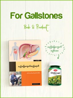 Fame_Cholecrush (သည်းခြေကျောက်ပျော်ဆေး)