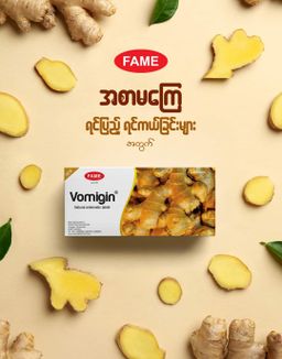 Fame_Vomigin (ဂျင်းသောက်ဆေး) 