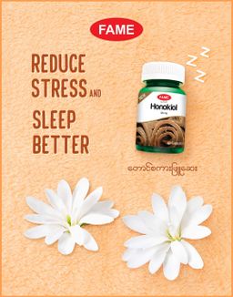 Fame_Honokiol (တောင်စကားဖြူဆေး) 