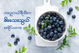 Fame_Blueberry (ဘလူးဘယ်ရီဆေး)