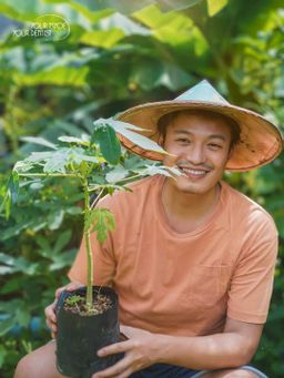 Fame_Papaya (သင်္ဘောရွက်ဆေး)