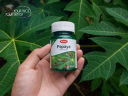 Fame_Papaya (သင်္ဘောရွက်ဆေး)