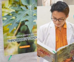 Fame_Papaya (သင်္ဘောရွက်ဆေး)