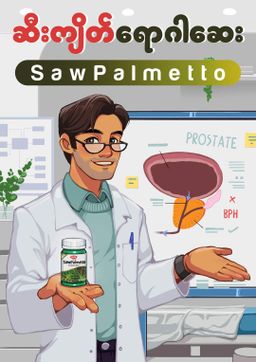 Fame_SawPalmetto (ဆီးကျိတ်ရောဂါဆေး) 