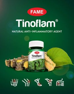 Fame_Tinoflam (ဆင်တုံးမနွယ်ဆေး)