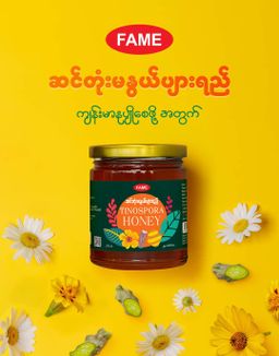 Fame_Tinosopra Honey (ဆင်တုံးမနွယ်ပျားရည်)