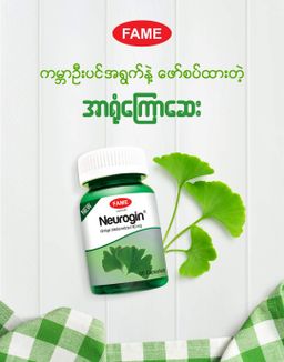 Fame_Neurogin (အာရုံကြောဆေး) 