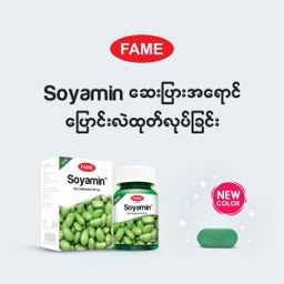 Fame_Soyamin (ပဲပိစပ်ဆေး)