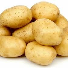 Kentang Ukuran Sedang