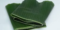 Daun Pisang