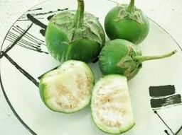 Terong Lalap Hijau (Unyil)