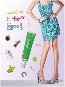 Fame_Aloeheal Herbal Moisturizing Cream 