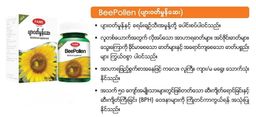 Fame_Bee Pollen (ပျားဝတ်မှုန်ဆေး)
